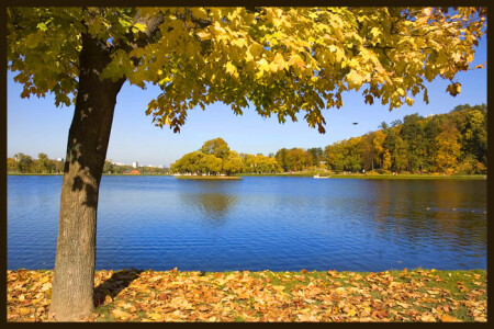 краски осени