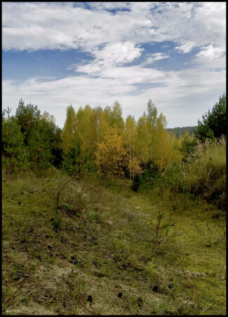 Пейзажик