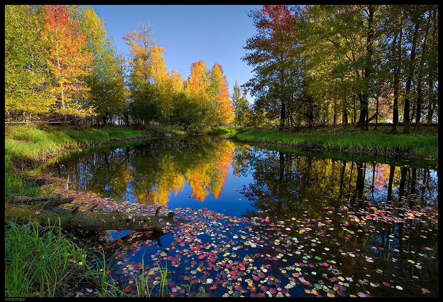 Осень. Листики
