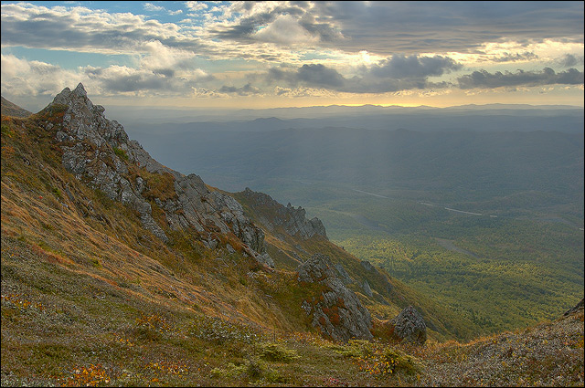 Греясь в лучах заходящего солнца