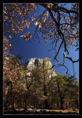 El Capitano, Yosemite