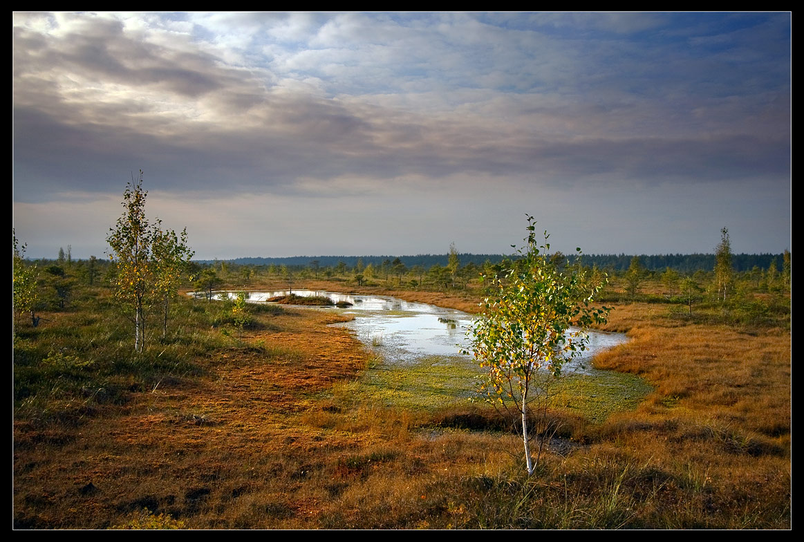 Осень в заповеднике