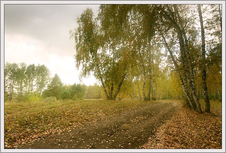 Осень на Алтае, 4
