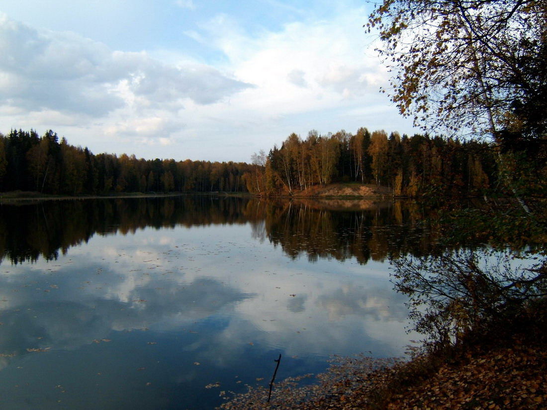 озеро ЛЕСНОЕ.