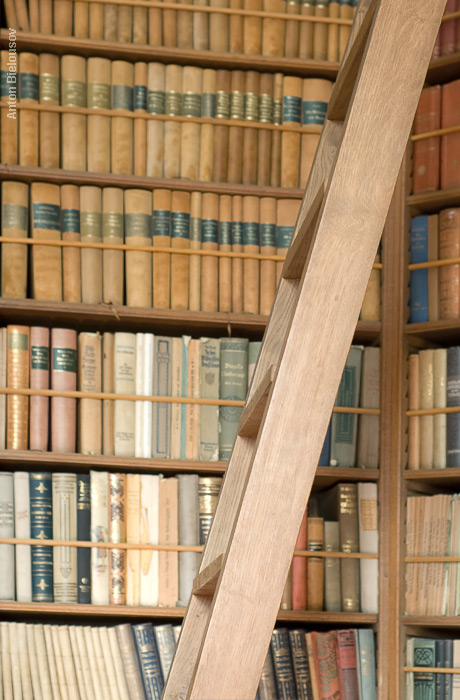 The Library