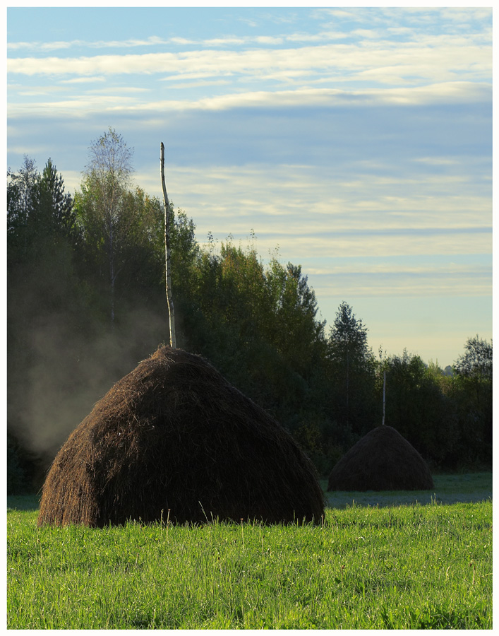 Осеннее утро