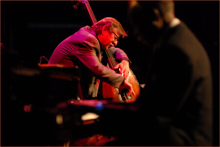 double bass