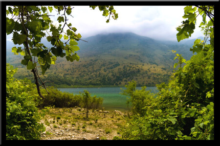 Курнас