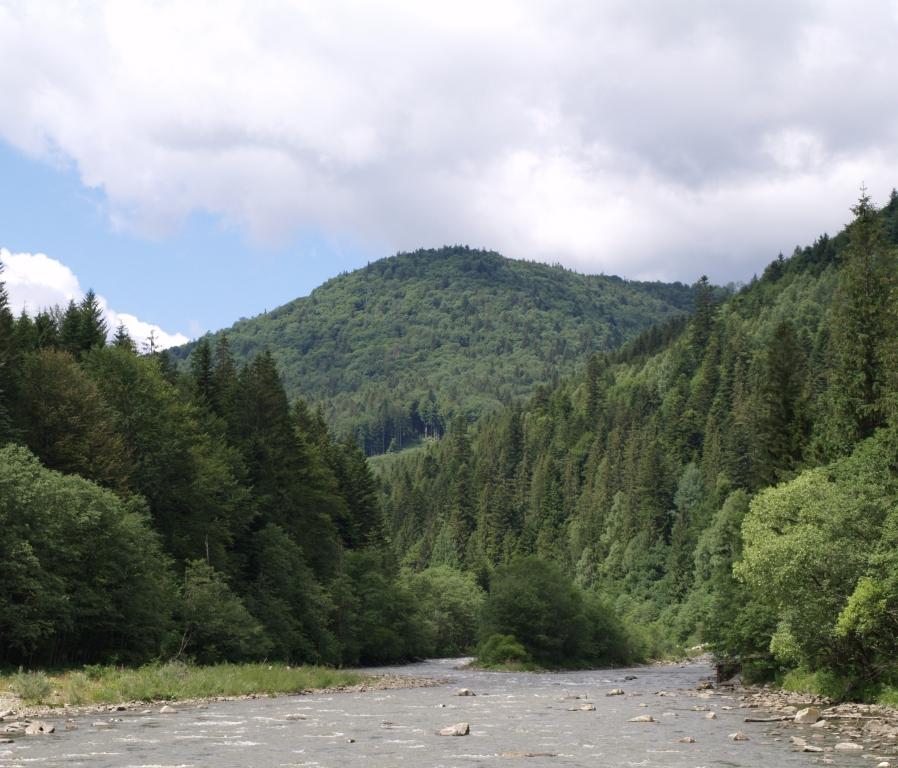 Карпаты