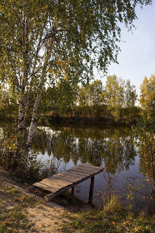 подмосковная осень