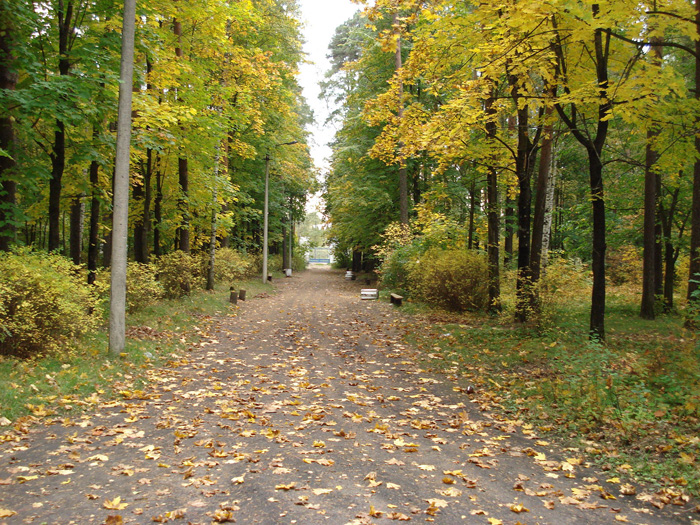 Максатихинский парк