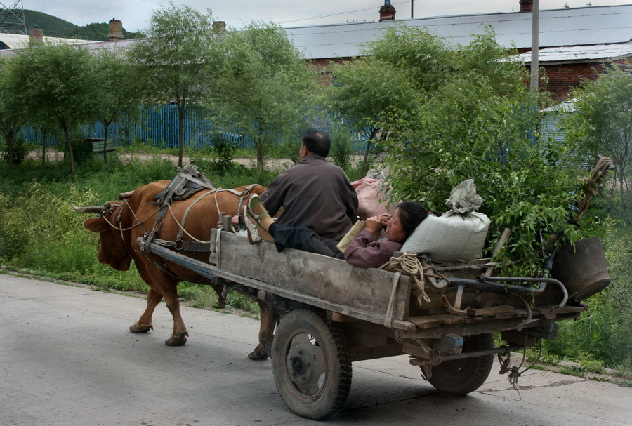 Домой 