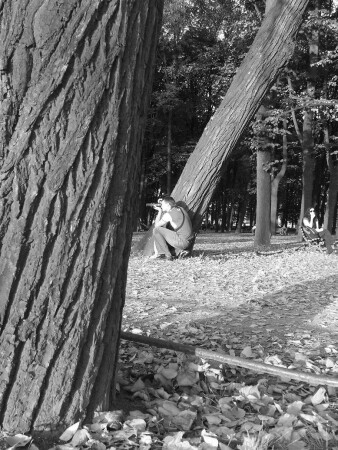 прицелился