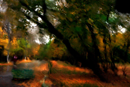 Цветная осень