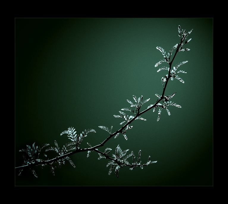 spring melancholy