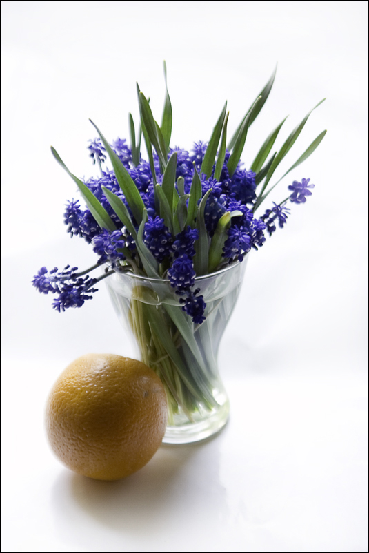 Blue and orange