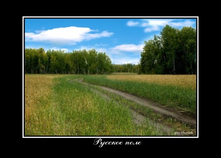 Русское поле