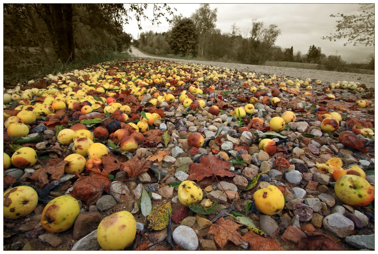 apple road