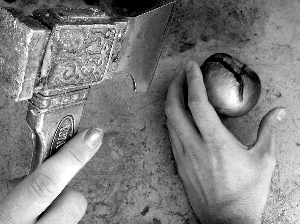 An apple of discord