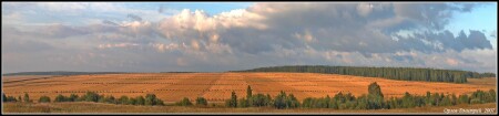 Жатва