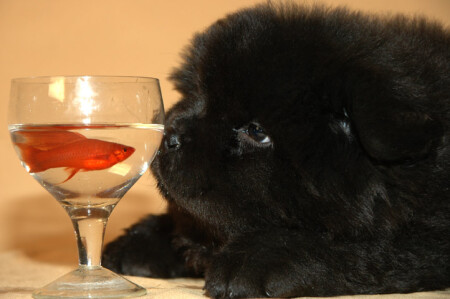 давай дружить