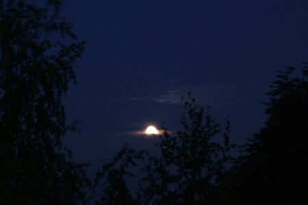 Луна в колыбели