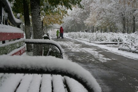 Первый снег