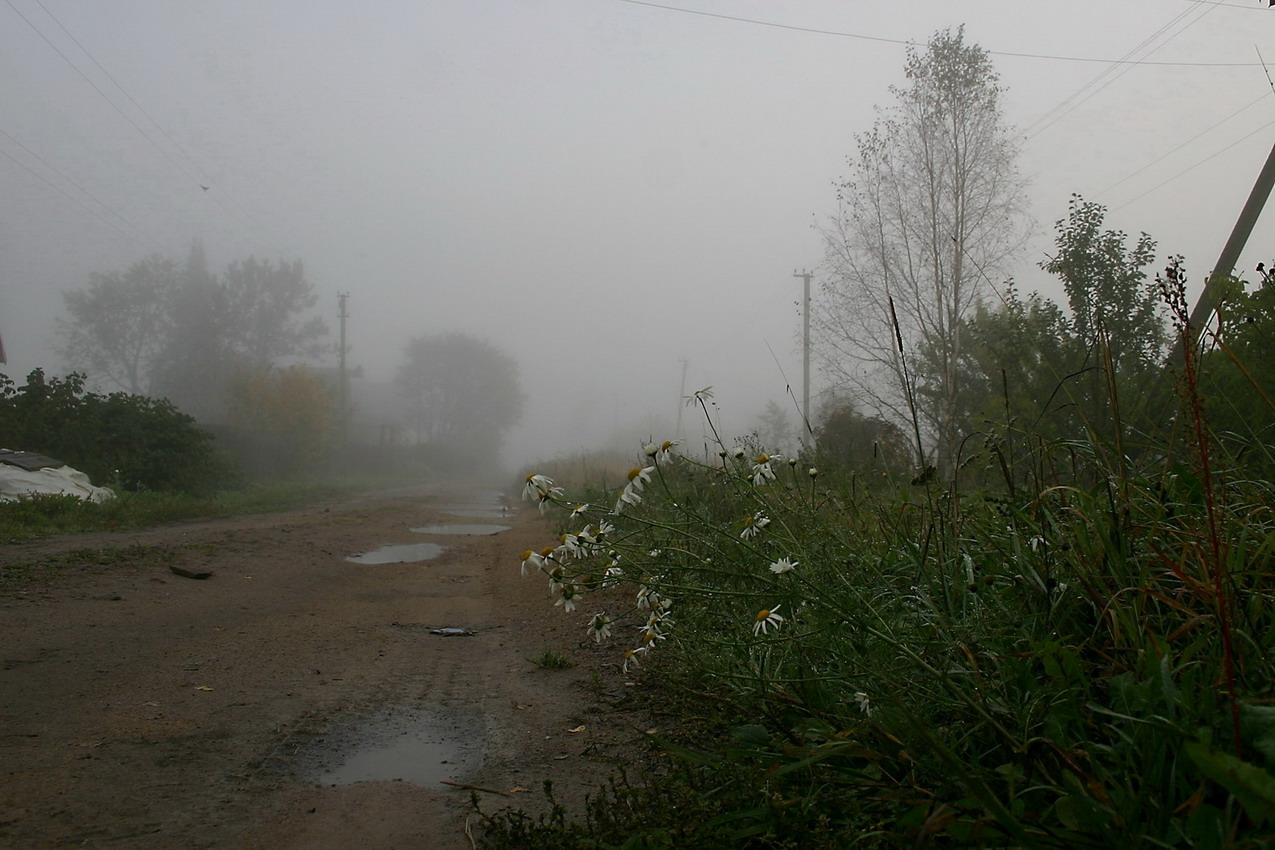 Дорога. утро. сентябрь...