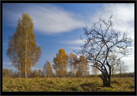Осень