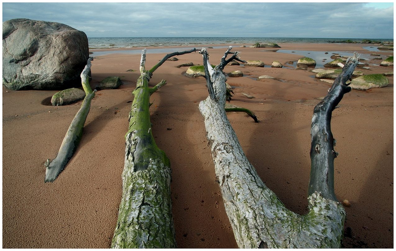 The Baltic sea