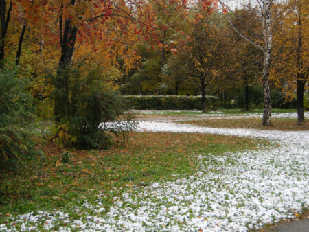 первый снег (зима с осенью рука об руку)