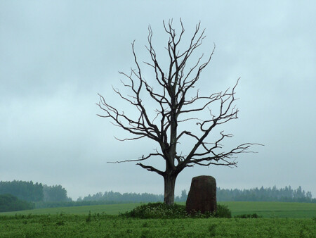 Прямо пойдешь, смерть найдешь...