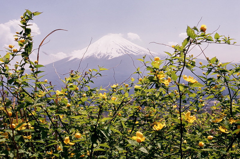 Fuji