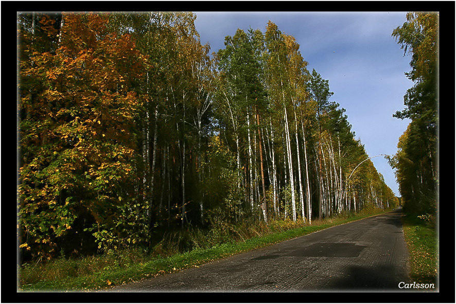 ~Дорога в осень~