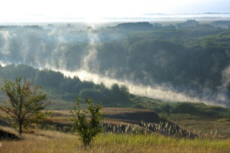 Раннее утро на Хопре