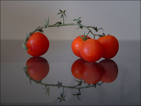 Скованны одной цепью