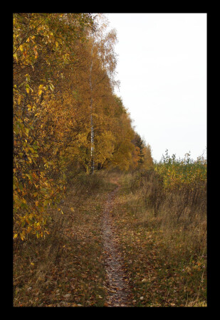 Дорога в осень