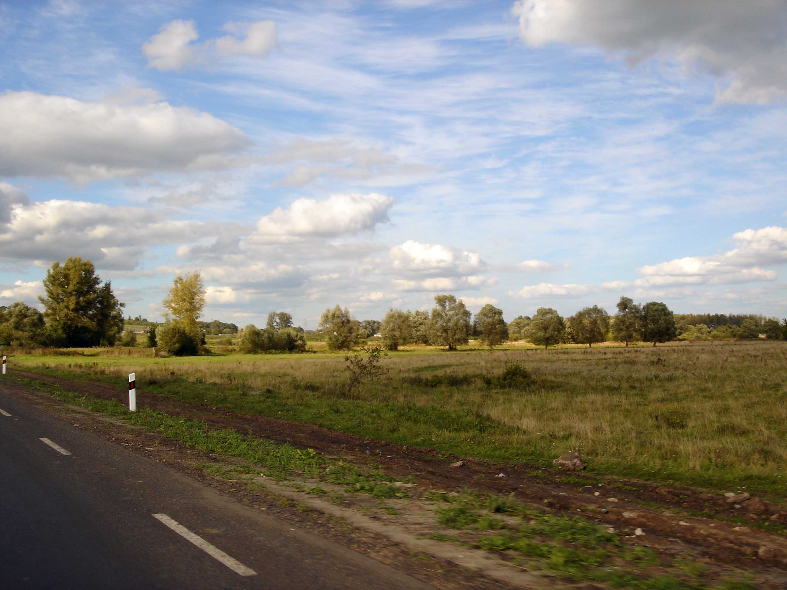 Дорожный пейзаж