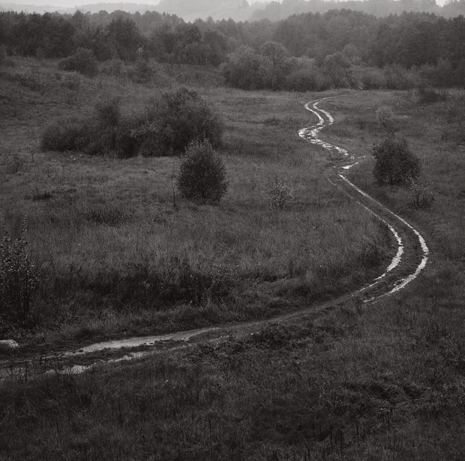 rainy path