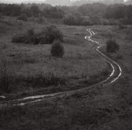 rainy path