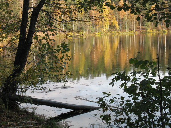 Осень