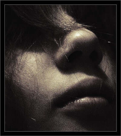Untitled Portrait ...