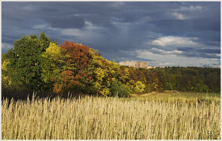 Цвета Осени