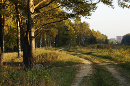 Дорога в город
