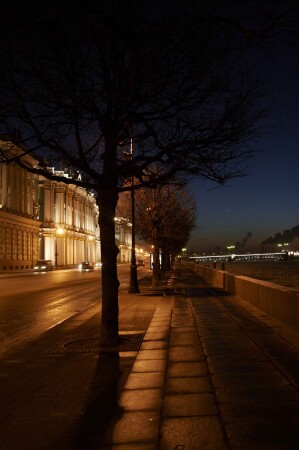 Дворцовая набережная