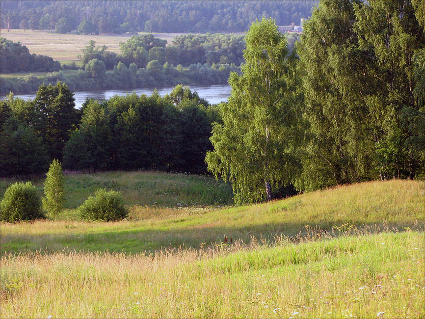 вид