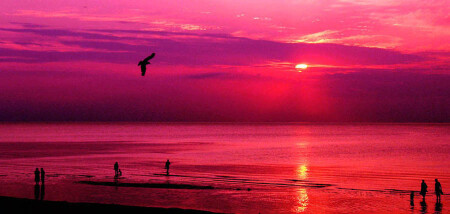 Фиолетовый закат 