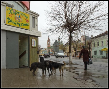 За продуктами