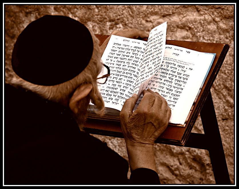 Листая Книгу бытия