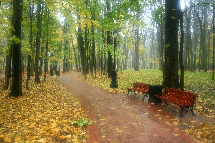 Царицынская осень